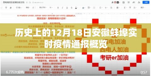 安徽蚌埠实时疫情通报概览，历史12月18日疫情概览