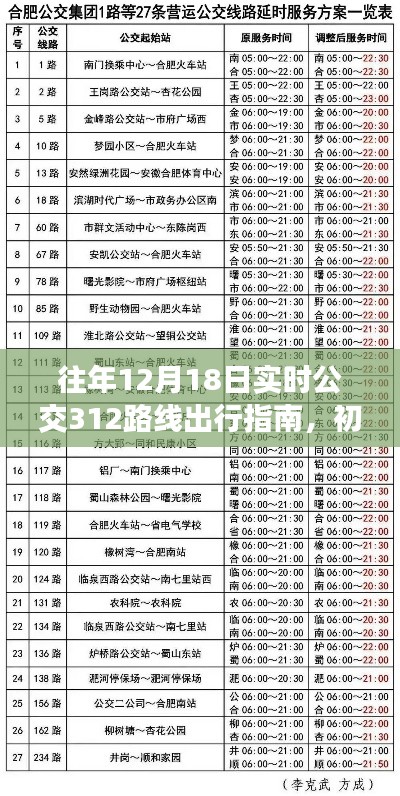 12月18日实时公交312路线出行指南，适合初学者与进阶用户