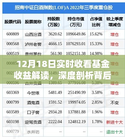 12月18日基金收益解读，深度剖析背后的收益与风险实况