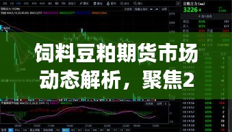 饲料豆粕期货市场动态解析，实时价格走势聚焦（2024年12月18日）