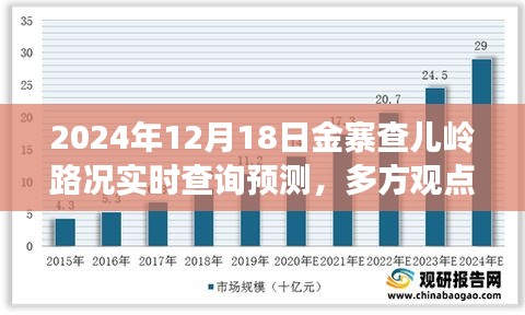 2024年12月18日金寨查儿岭路况深度解析与多方观点探讨