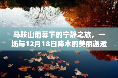 马鞍山雨幕下的宁静之旅，与12月18日降水的浪漫邂逅