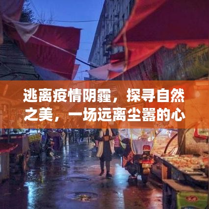 疫情后的自然探索之旅，心灵净化之旅的宁静之地