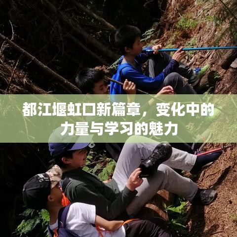 都江堰虹口新篇章，变革之力与学习魅力