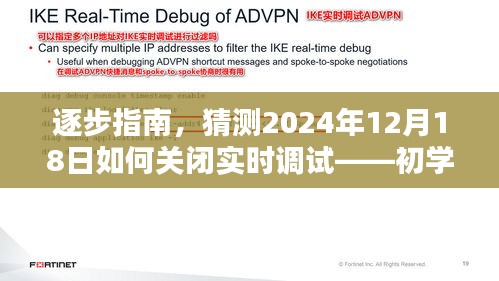 实用教程，从初学者到进阶用户，逐步学会如何关闭实时调试——针对2024年12月18日的指南