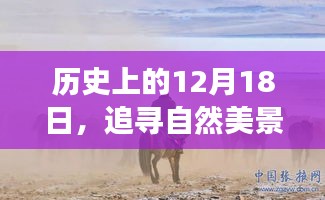 12月18日探寻自然美景之旅，心灵宁静驱散疫情阴霾的历程