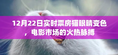 电影市场火热脉搏，12月22日实时票房带动猫眼睛变色