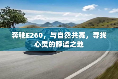 奔驰E260，与自然和谐共舞，探寻内心宁静之地