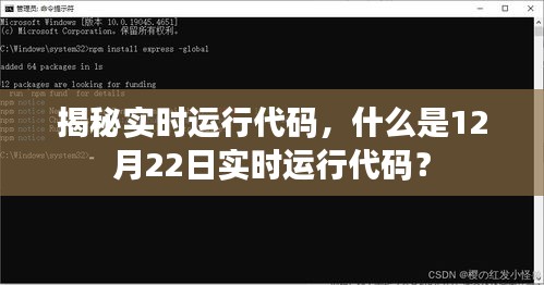 揭秘实时运行代码，什么是实时运行代码详解及解析？