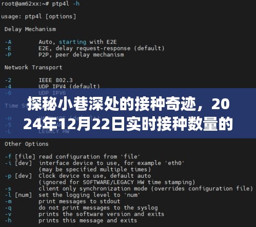 探秘小巷深处的接种奇迹，实时接种数量背后的故事，2024年12月22日记录