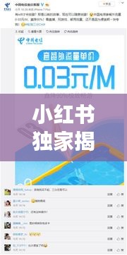 小红书独家揭秘，自媒体运营实战指南——12月22日实时更新攻略