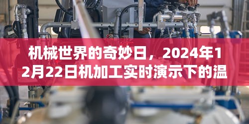 机械世界的奇妙日，机加工实时演示下的温馨时光（2024年12月22日）