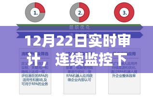 12月22日实时审计，提升财务透明与效率的全面监控