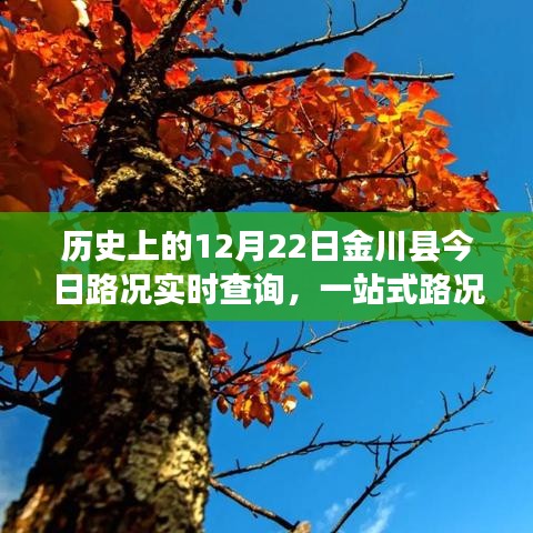 历史上的金川县路况实时查询与一站式服务平台深度评测报告