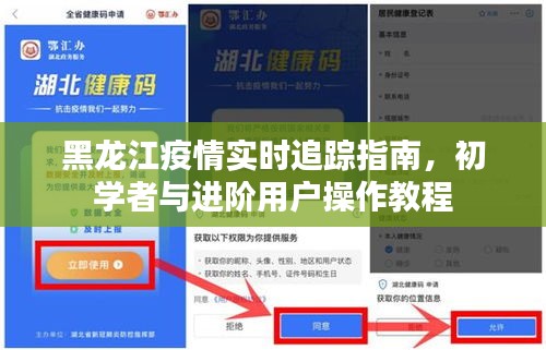 黑龙江疫情实时追踪指南，初学者与进阶用户操作手册