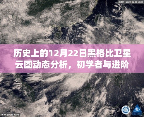 实用指南，历史上的12月22日黑格比卫星云图动态分析初学与进阶指南