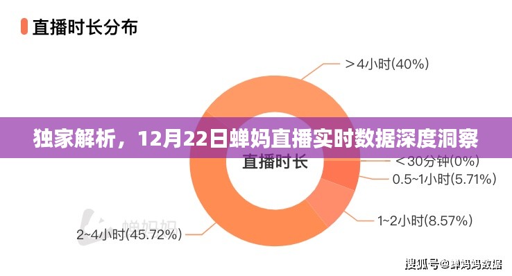 2024年12月24日 第19页