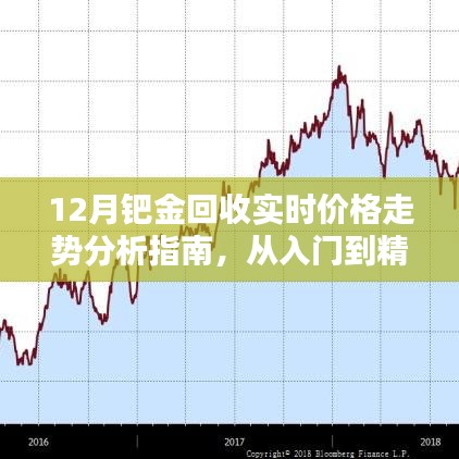 12月钯金回收价格走势详解，从新手到专家的全方位指南