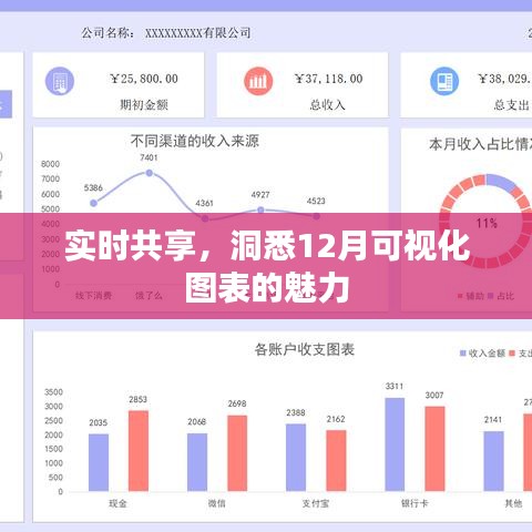 实时洞悉，探索十二月可视化图表的魅力与共享价值