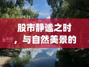 股市静谧之际的心灵之旅，自然美景与自我对话