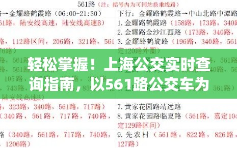 上海公交实时查询指南，轻松掌握561路公交车查询（适合初学者与进阶用户）