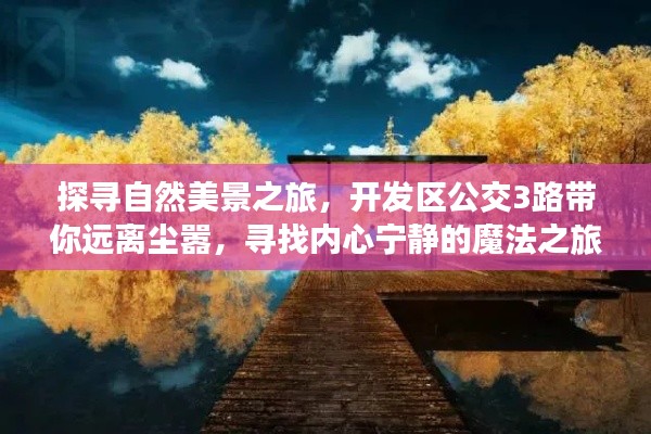 开发区公交3路，探寻自然美景，寻找内心宁静的魔法之旅