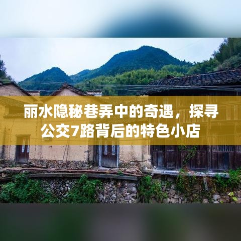 丽水隐秘巷弄里的奇遇，探寻公交7路特色小店之旅