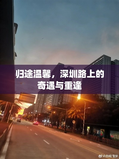 深圳路上的奇遇重逢与归途温馨