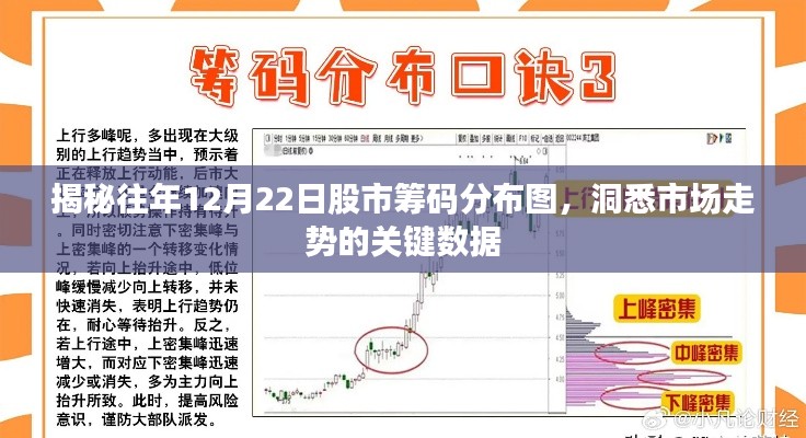 揭秘往年12月22日股市筹码分布图，洞悉市场走势的关键数据解析