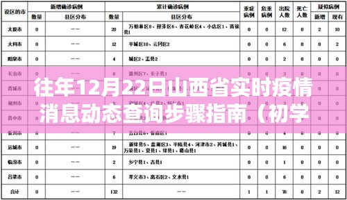 山西省实时疫情消息动态查询指南，初学者与进阶用户适用，往年12月22日最新动态查询步骤解析