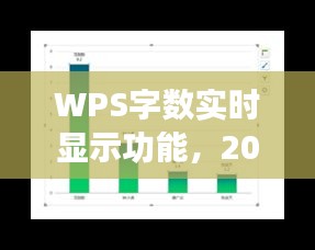 WPS字数实时显示功能深度解析，2024年12月22日观察报告