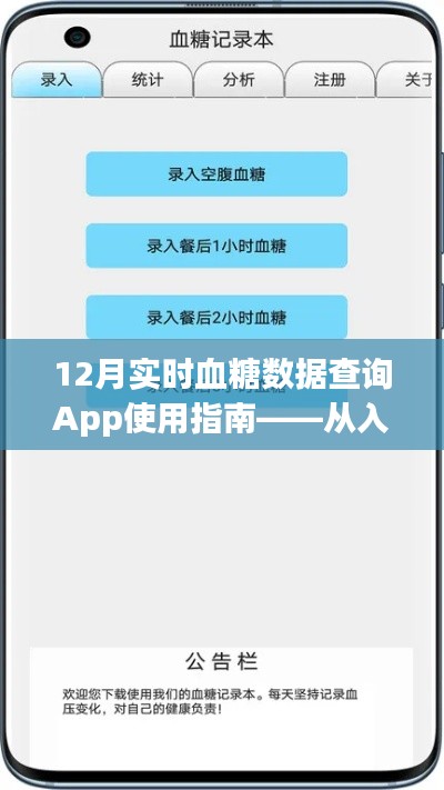 12月实时血糖监控App使用详解，从新手入门到精通指南