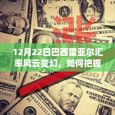 巴西雷亚尔汇率风云变幻，把握机遇重塑自信与成就策略