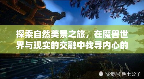 魔兽世界与现实交融，自然美景探索之旅，心灵平静与喜悦的追寻