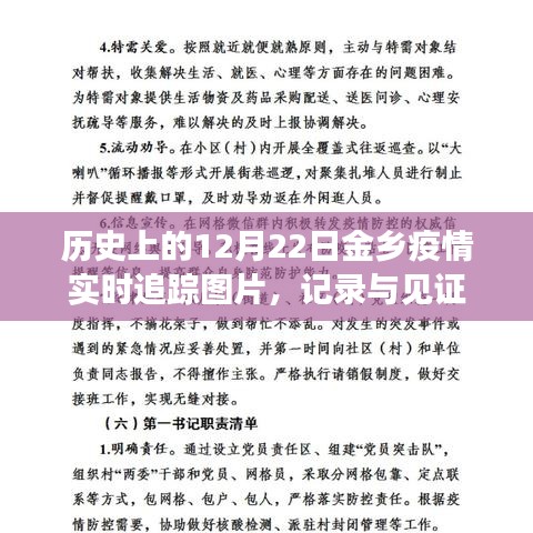 历史上的金乡疫情追踪，实时图片记录与见证