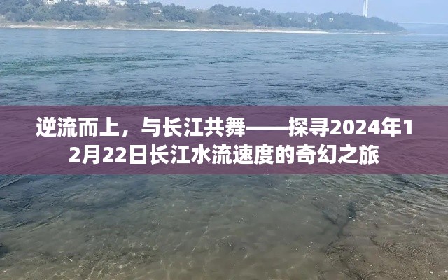 逆流而上，共舞长江，探寻长江水流速度的奇幻之旅（2024年12月22日）