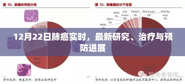 12月22日肺癌最新研究、治疗与预防进展更新