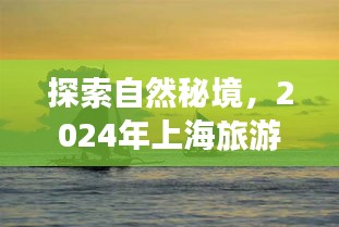 探索自然秘境，上海旅游新风尚，心灵宁静之旅启程于2024