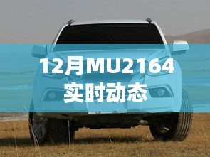 MU2164航班实时动态追踪报告