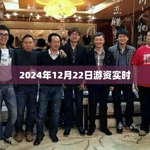 游资动态，揭秘2024年12月22日股市游资实时操作策略