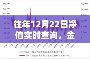 金融投资实时净值查询，透明便捷，洞悉投资动向