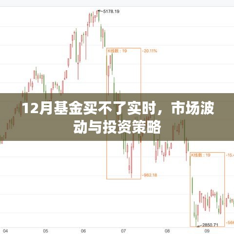 市场波动下的12月基金投资，实时购买策略与应对策略