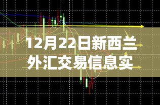 2024年12月26日 第6页