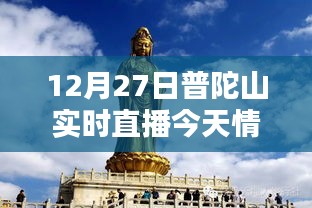 普陀山今日实况直播，探寻冬日佛国秘境