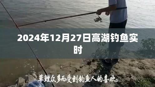 高湖钓鱼最新动态，2024年12月27日实时更新