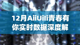 12月青春有你实时数据深度解读揭秘