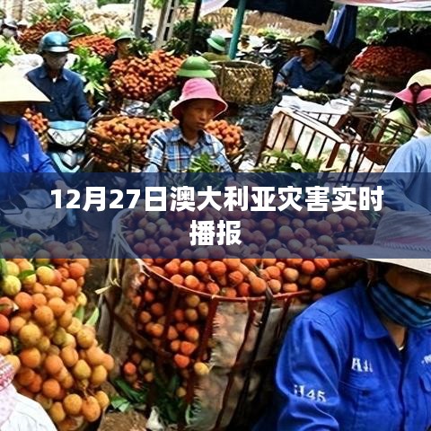 澳大利亚灾害最新实时播报（12月27日）