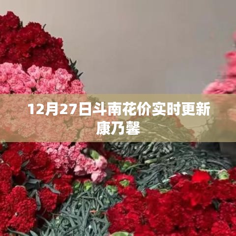 斗南花价最新更新，康乃馨实时价格 12月27日