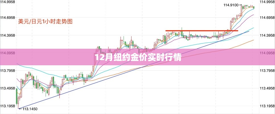 纽约金价实时行情走势分析（最新动态）