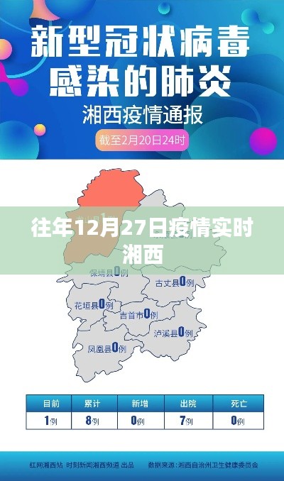 湘西地区疫情实时动态追踪报告